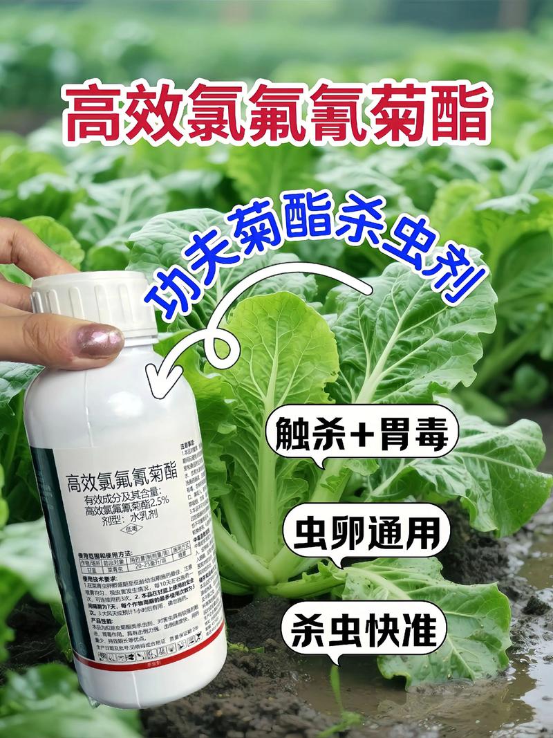 垫江代生中心:农药对供卵代生妈妈的危害